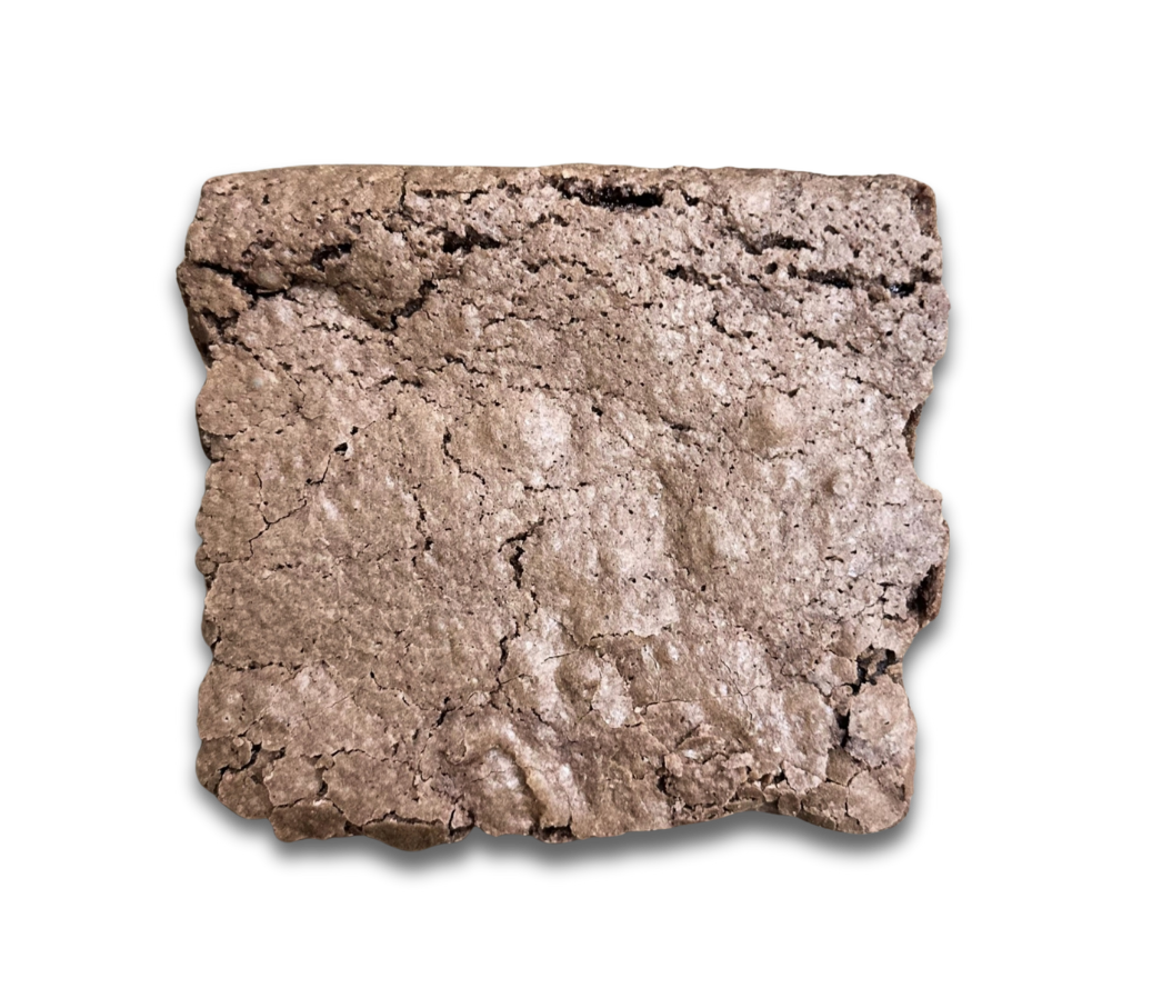 Untitled design - 2026-01-26T202009.561